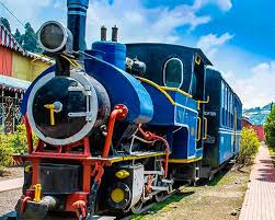The historic Darjeeling Himalayan Railway toy train passing through green tea gardens and misty hills