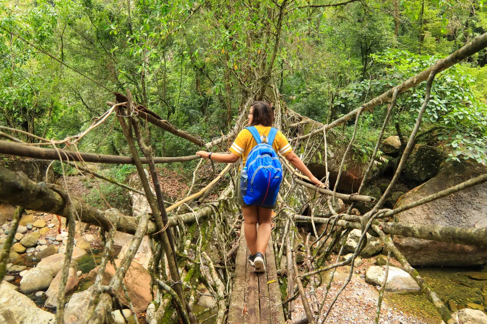 The famous double-decker living root bridge surrounded by dense, lush green jungle in Cherrapunji, Meghalaya